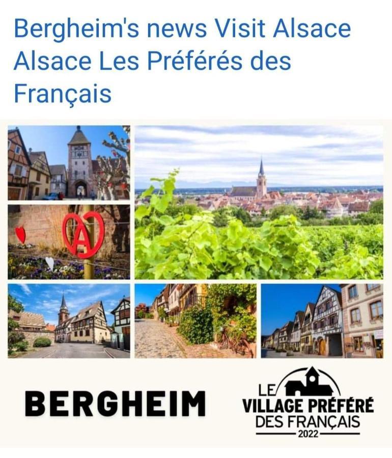 La Maison Des Tanneurs リボーヴィレ エクステリア 写真